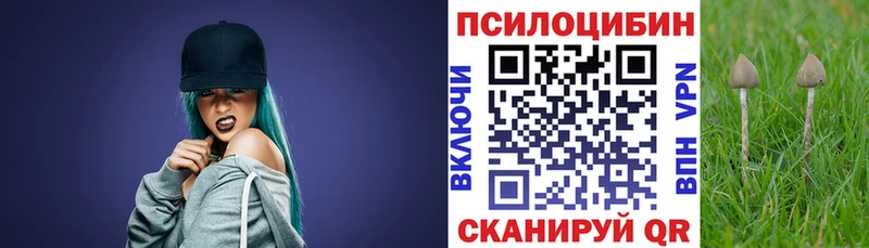 купить наркоту Энем Псилоцибиновые грибы прущие грибы